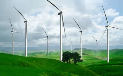 Down to Earth: Bringing Green Living Home