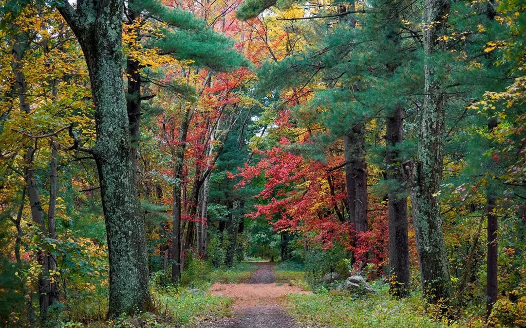 Ann Blake Speaks at Mount Holyoke College