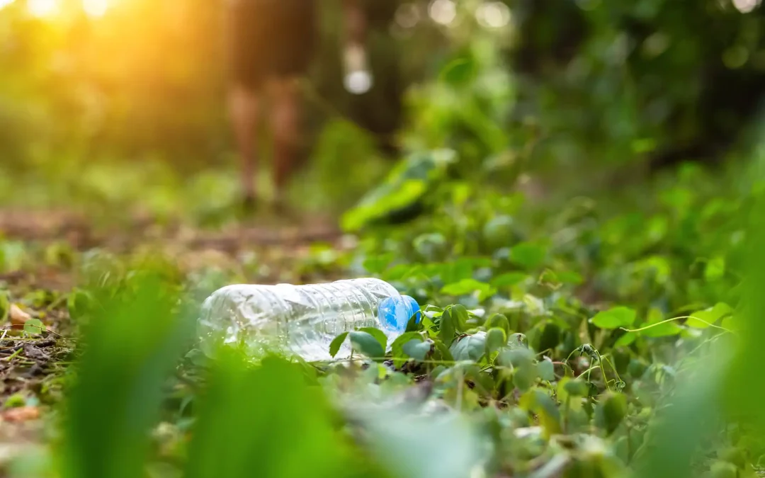 Plastics Scorecard Featured in On Earth Magazine