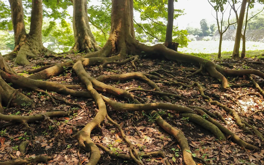 Chemicals and Climate: Two Trunks of the Same Tree