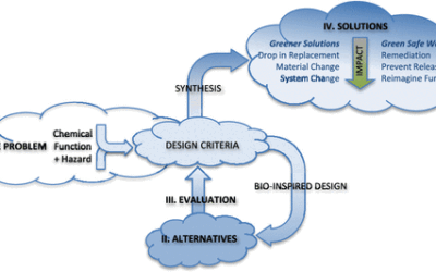 Systems Thinking Applied to Designing Safer Alternatives