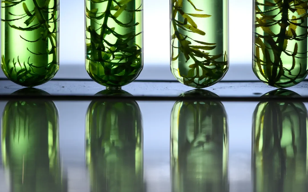 Transforming the Materials Economy