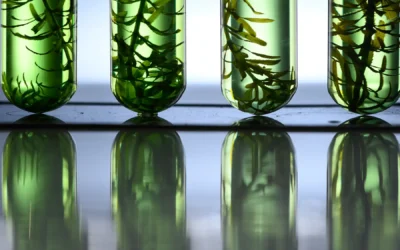 Transforming the Materials Economy