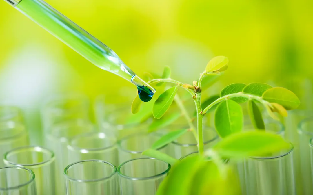 University of California at Berkeley Extension Certificate in Green Chemistry – Course Development