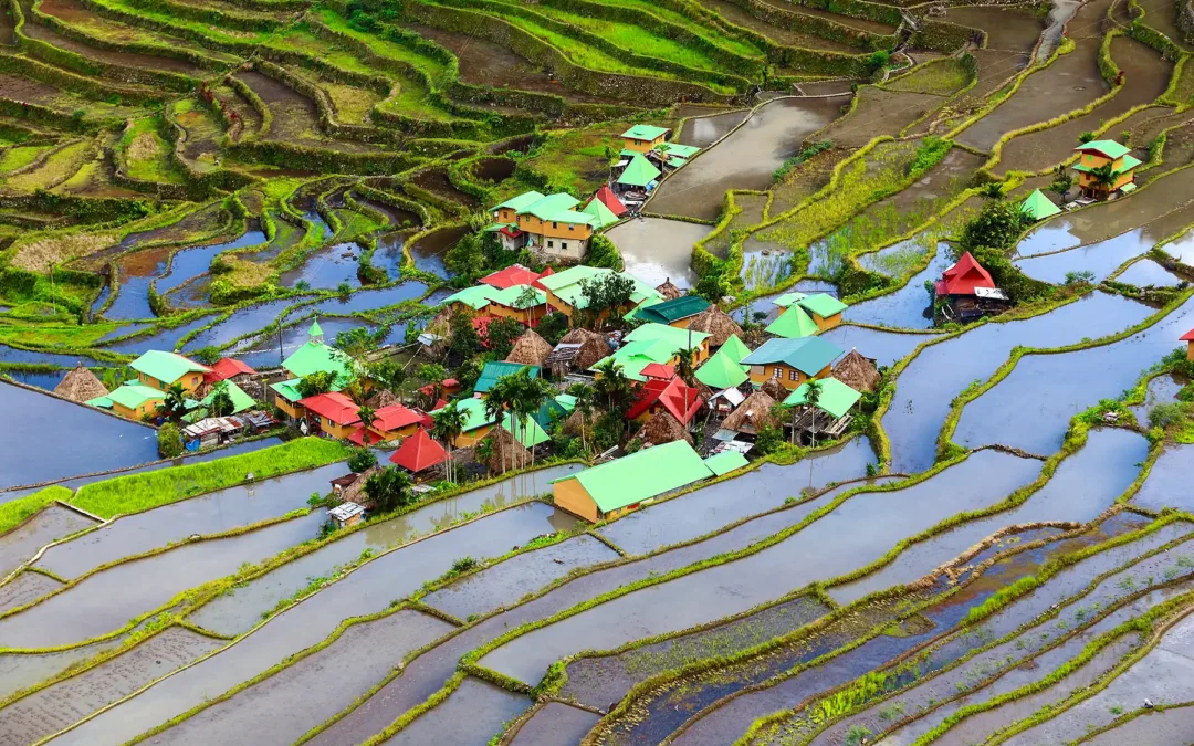 Safer Alternatives in the Philippines